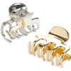 Tasha Assorted 2-pack Mini Jaw Clips In Gold