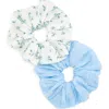 Tasha Assorted 2-pack Scrunchies In Multi