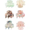 Tasha Assorted 6-pack Mini Jaw Hair Clips In Multi