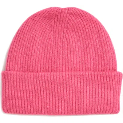 Tasha Basic Ribbed Knit Beanie In Fucshia