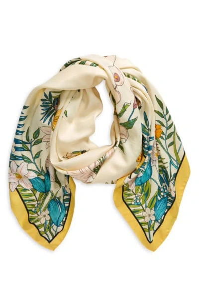 Tasha Butterfly Floral Scarf In White