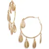 Tasha Cowrie Shell Dangle Hoop Earrings In Gold