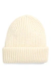 Tasha Cozy Cuddle Beanie In Neutral