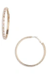 Tasha Crystal Hoop Earrings In Gold