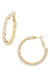 Tasha Cubic Zirconia Hoop Earrings In Gold