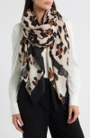 Tasha Leopard Print Scarf In Multi