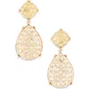 Tasha Mixed Crystal Drop Earrings