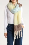 Tasha Pastel Colorblock Blanket Scarf In Multi