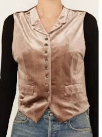 Tasha Polizzi Larkin Velvet Top In Taupe In Gray