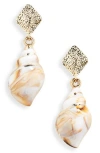 Tasha Sea Shell Drop Earrings In Neutral