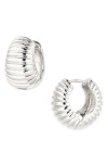 Tasha Wide Ribbed Hoop Earrings In Metallic