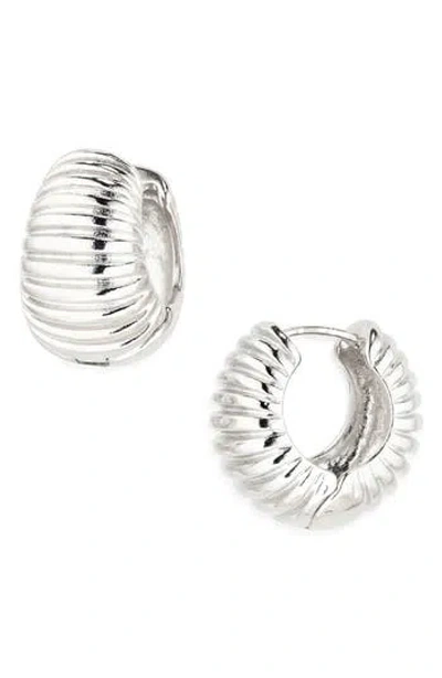 Tasha Wide Ribbed Hoop Earrings In Metallic