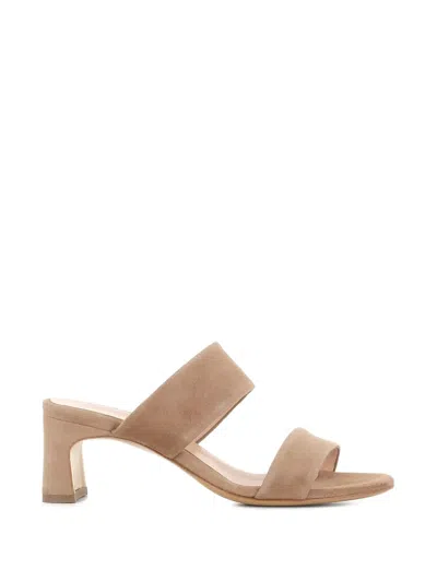 Tassinari Michelle Suede Mules In Brown