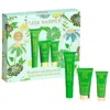 Tata Harper Brighten Up Essentials Set