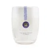 TATCHA TATCHA LADIES THE RICE POLISH FOAMING ENZYME POWDER 2.1 OZ CLASSIC SKIN CARE 653341133427