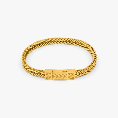 Tateossian Coda Di Volpe Chain Bracelet In Yellow Gold Plated - S