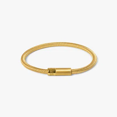 Tateossian Pop Rigato Rame Bracelet In Yellow Gold Plated - S