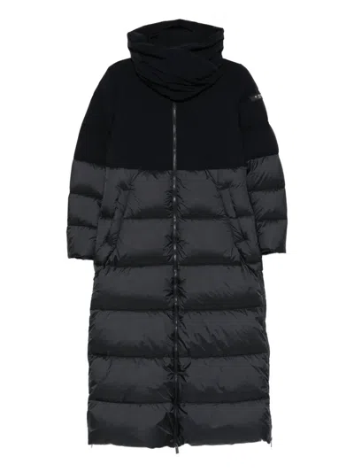 Tatras Aquilegia In Blue