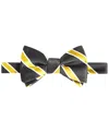 Tayion Collection Men's Black & Gold Stripe Bow Tie In Black