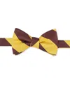 Tayion Collection Men's Brown Gold Stripe Bow Tie