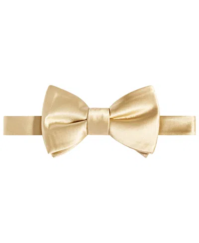 Tayion Collection Men's Purple & Gold Solid Bow Tie In Yellow