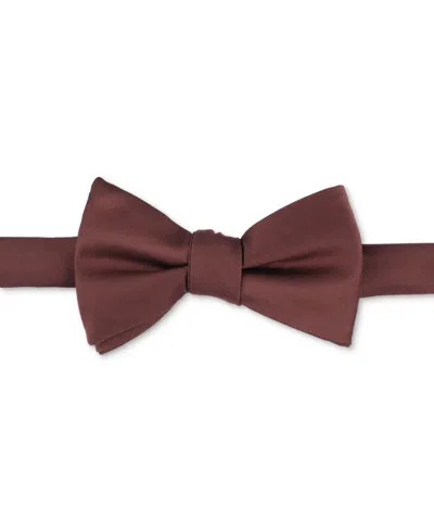 Tayion Collection Men's Solid Color Bow Tie In Brown