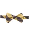 Tayion Collection Men's Stripe Bow Tie In Brown