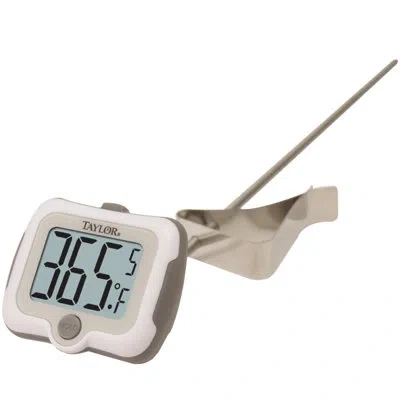Taylor Candy Digital Thermometer