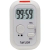 Taylor Flashing Light Timer
