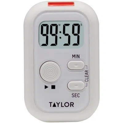 Taylor Flashing Light Timer
