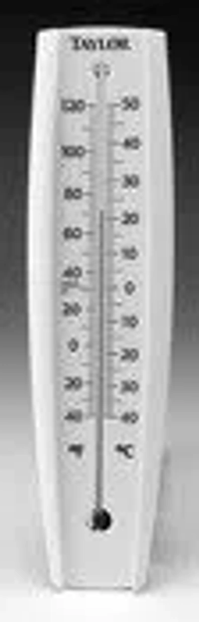 Taylor Jumbo Wall Thermometer