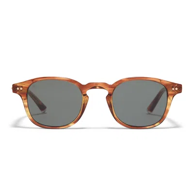 Taylor Morris Eyewear Eagle Sunglasses In Gold