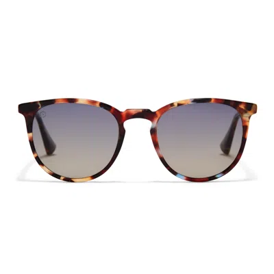 Taylor Morris Eyewear George Arthur Ii Sunglasses
