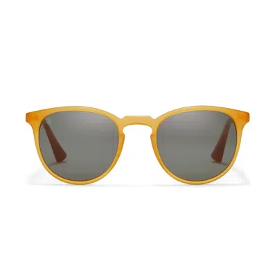 Taylor Morris Eyewear George Arthur Sunglasses In Gold