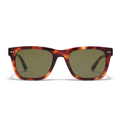 Taylor Morris Eyewear Hoxton Sunglasses
