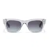 TAYLOR MORRIS EYEWEAR JAMES SUNGLASSES