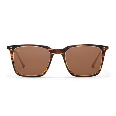 Taylor Morris Eyewear Ledbury Sunglasses In Brown