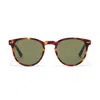 Taylor Morris Eyewear Mitre