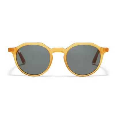 Taylor Morris Eyewear Oxford Sunglasses