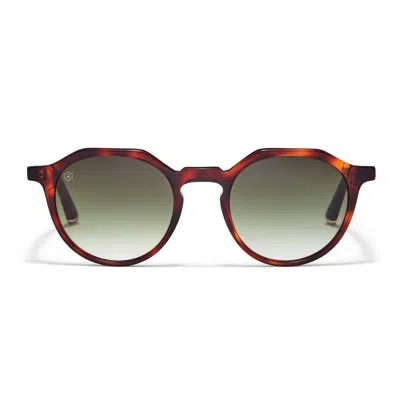 Taylor Morris Eyewear Oxford Sunglasses In Brown Tortoiseshell
