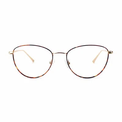 Taylor Morris Eyewear Sw10 C2 Glasses In Brown