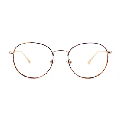 Taylor Morris Eyewear Sw11 C2 Glasses In Gold