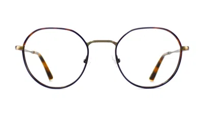 Taylor Morris Eyewear Sw12 C4 Glasses In Brown