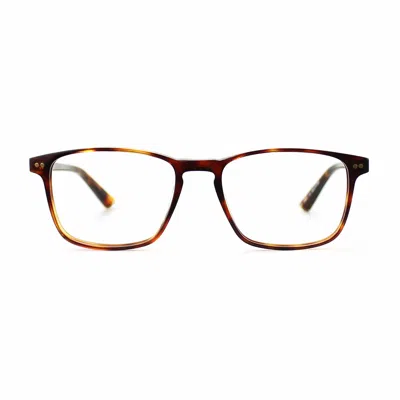 Taylor Morris Eyewear Sw16 C2 Glasses In Brown