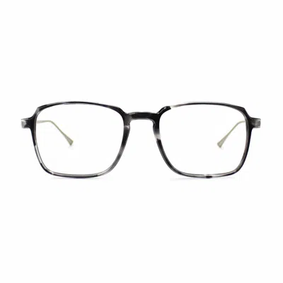 Taylor Morris Eyewear Sw3 C4 Glasses In Gray