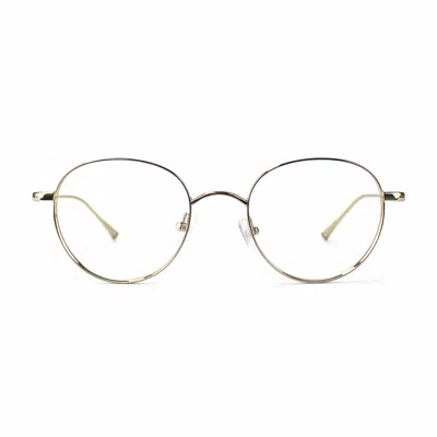 Taylor Morris Eyewear Sw5 C1 Glasses In Gold