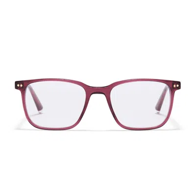 Taylor Morris Eyewear Tm010-c3 In Multi