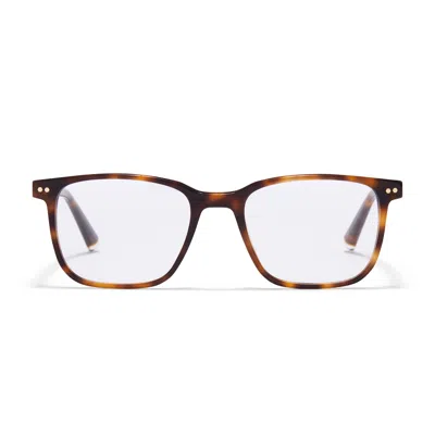 Taylor Morris Eyewear Tm010-c4 In Brown