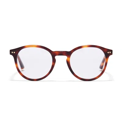 Taylor Morris Eyewear Tm011-c2 In Blue