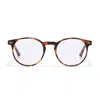 TAYLOR MORRIS EYEWEAR TM014-C5